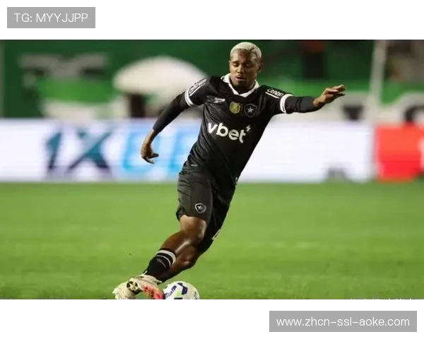 辽宁铁人引进热菲尼奥与瓦吉奇，外援身价创队史纪录